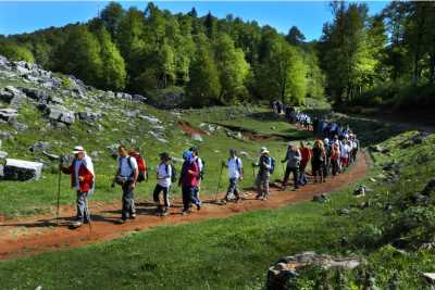 İnönü Yaylası-Kocaeli